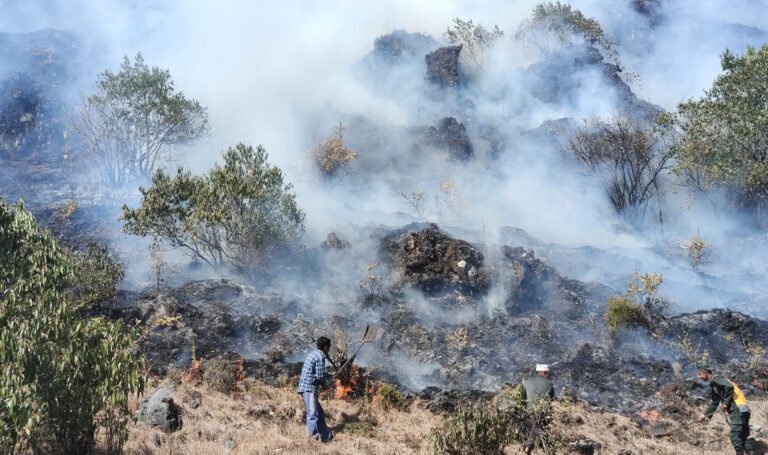 मुसिकोट ६ को खारादहमा भिषण आगलागी