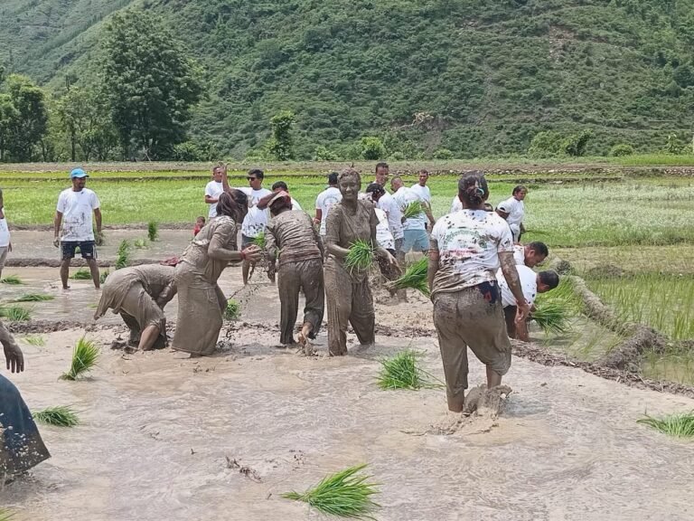 २२ औं राष्ट्रिय धान दिवस रुकुम पश्चिममा विविध कार्यक्रम गरी मनाइयो