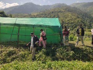 आठविसकोट नगरपालिकाको खदिस्यालामा एनप्यापद्धारा कार्यक्रमको अनुगमन