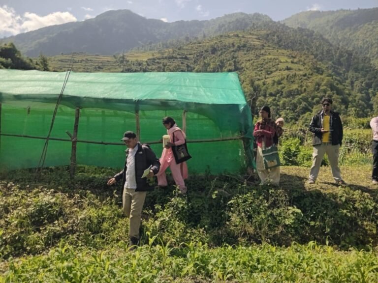 आठविसकोट नगरपालिकाको खदिस्यालामा एनप्यापद्धारा कार्यक्रमको अनुगमन
